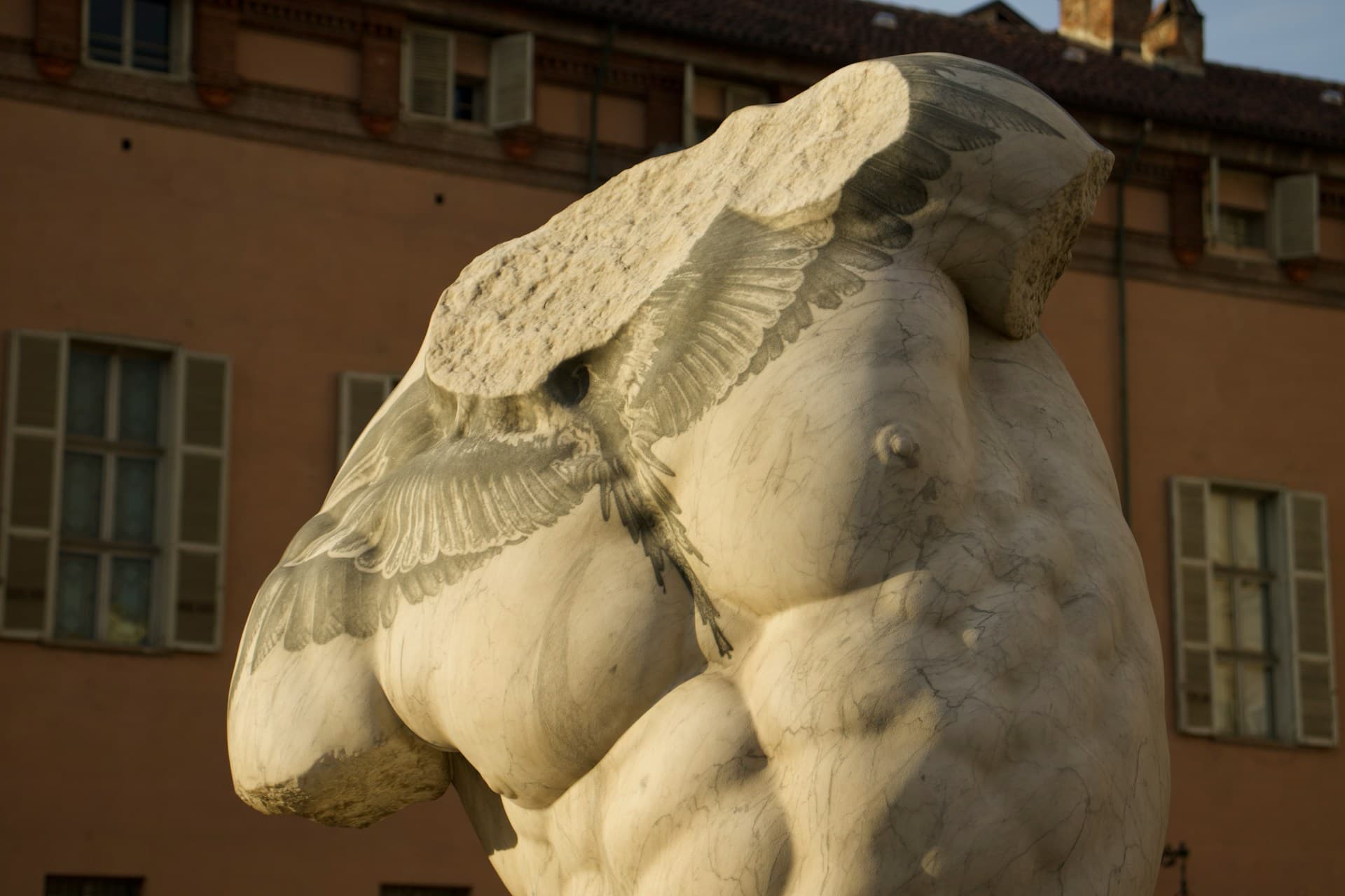 Show Me Muscles: The Protein Mirage