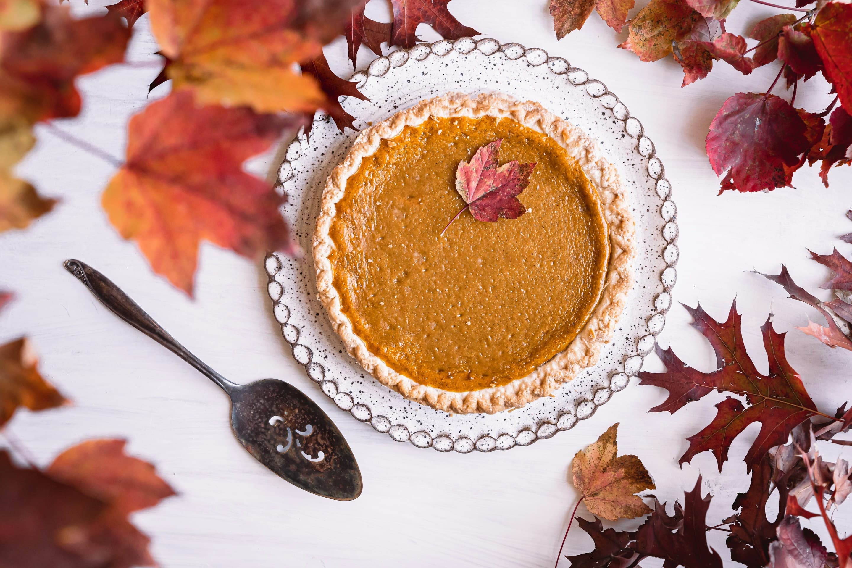 Rethinking Thanksgiving: A Vegan Feast With More to Give